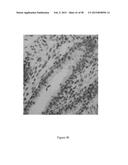 CFTR MRNA COMPOSITIONS AND RELATED METHODS AND USES diagram and image