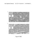 CFTR MRNA COMPOSITIONS AND RELATED METHODS AND USES diagram and image