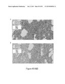 CFTR MRNA COMPOSITIONS AND RELATED METHODS AND USES diagram and image