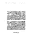 CFTR MRNA COMPOSITIONS AND RELATED METHODS AND USES diagram and image