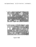 CFTR MRNA COMPOSITIONS AND RELATED METHODS AND USES diagram and image