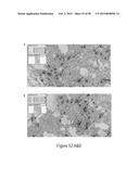 CFTR MRNA COMPOSITIONS AND RELATED METHODS AND USES diagram and image