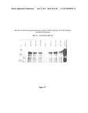 CFTR MRNA COMPOSITIONS AND RELATED METHODS AND USES diagram and image