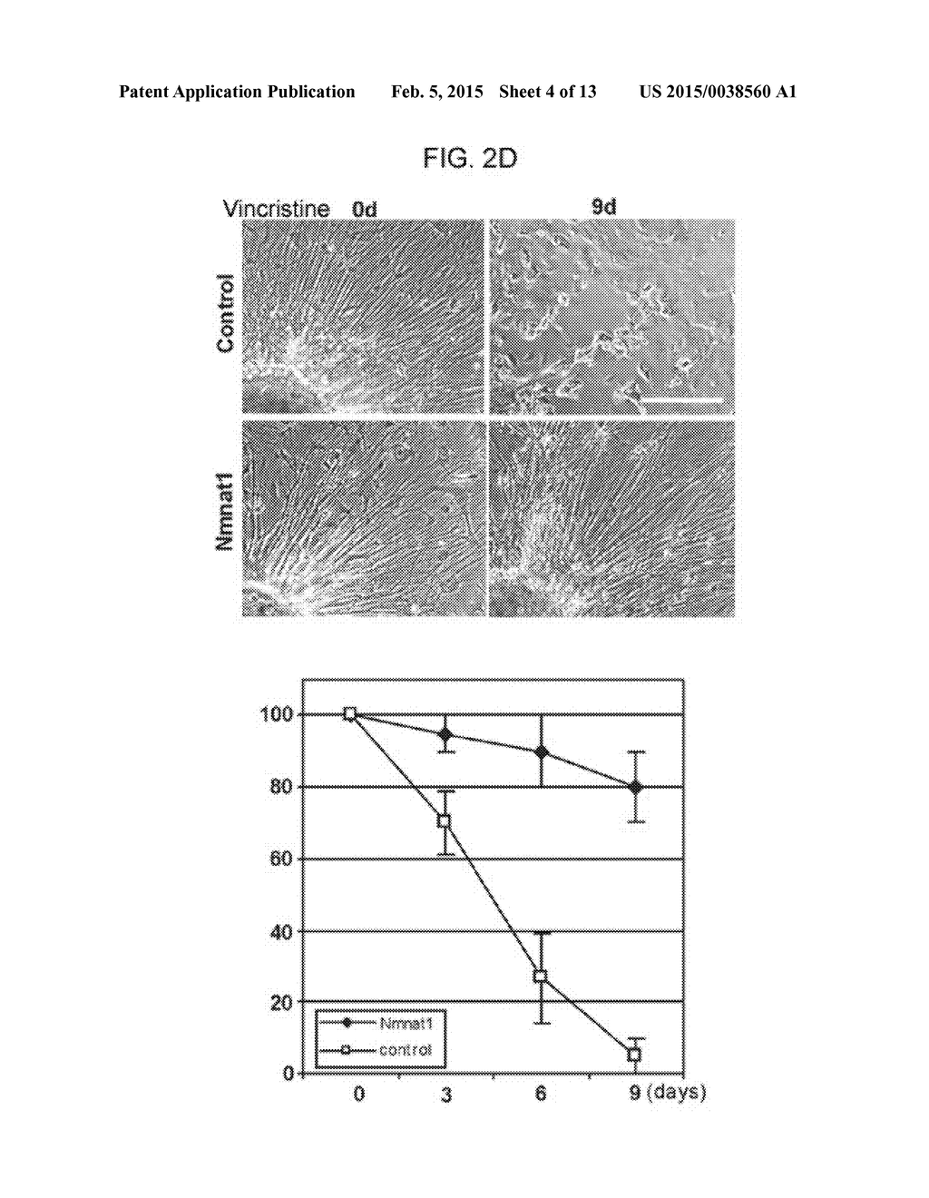 METHODS AND COMPOSITIONS FOR TREATING NEUROPATHIES - diagram, schematic, and image 05