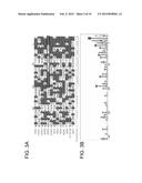 MITOCHONDRIAL TARGETED RNA EXPRESSION SYSTEM AND USE THEREOF diagram and image