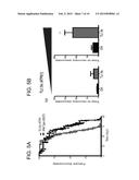 MITOCHONDRIAL TARGETED RNA EXPRESSION SYSTEM AND USE THEREOF diagram and image