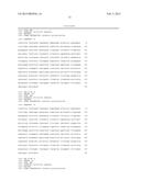 MITOCHONDRIAL TARGETED RNA EXPRESSION SYSTEM AND USE THEREOF diagram and image