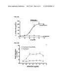 Treatment of Diseases by Concurrently Eliciting Remyelination Effects and     Immunomodulatory Effects Using Selective RXR Agonists diagram and image