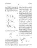 Treatment of Diseases by Concurrently Eliciting Remyelination Effects and     Immunomodulatory Effects Using Selective RXR Agonists diagram and image