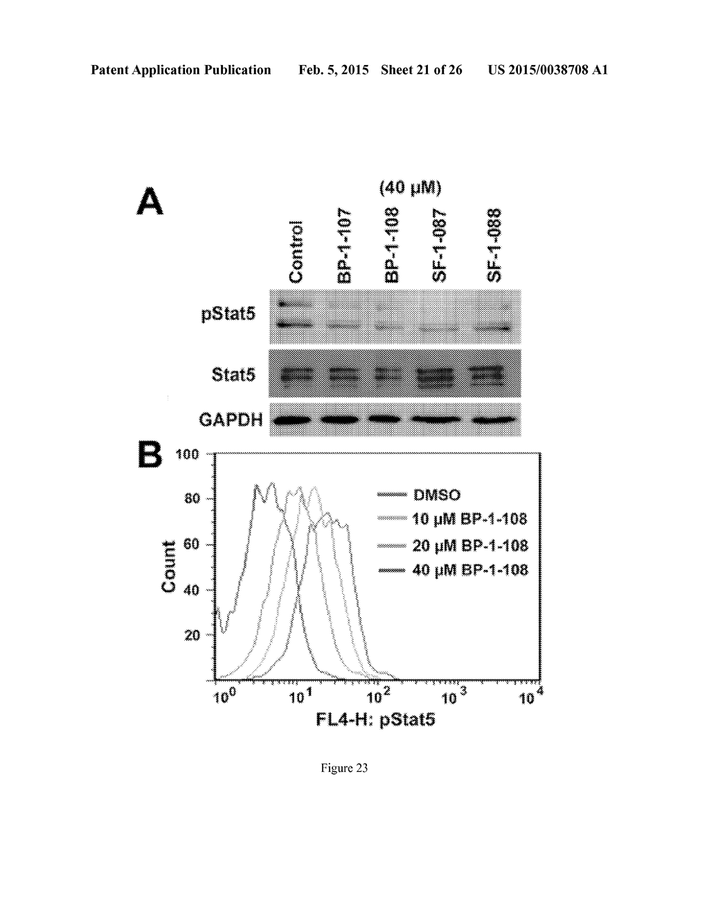 SUBSTITUTED 2-HYDROXY-4-(2-(PHENYLSULFONAMIDO)ACETAMIDO)BENZOIC ACID     ANALOGS AS INHIBITORS OF STAT PROTEIN - diagram, schematic, and image 22