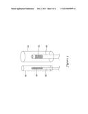 GUIDE CATHETER HAVING VASOMODULATING ELECTRODES diagram and image