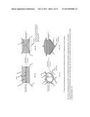 DEVICES, SYSTEMS AND METHODS FOR REPAIRING LUMENAL SYSTEMS diagram and image