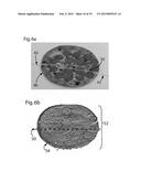 3D MACHINE VISION SCANNING INFORMATION EXTRACTION SYSTEM diagram and image