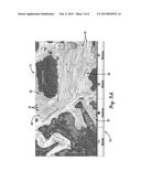 MARINE NAVIGATION DEVICE WITH IMPROVED CONTOUR LINES diagram and image