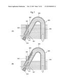 FLUSH TOILET APPARATUS diagram and image