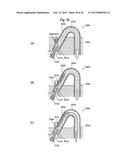 FLUSH TOILET APPARATUS diagram and image