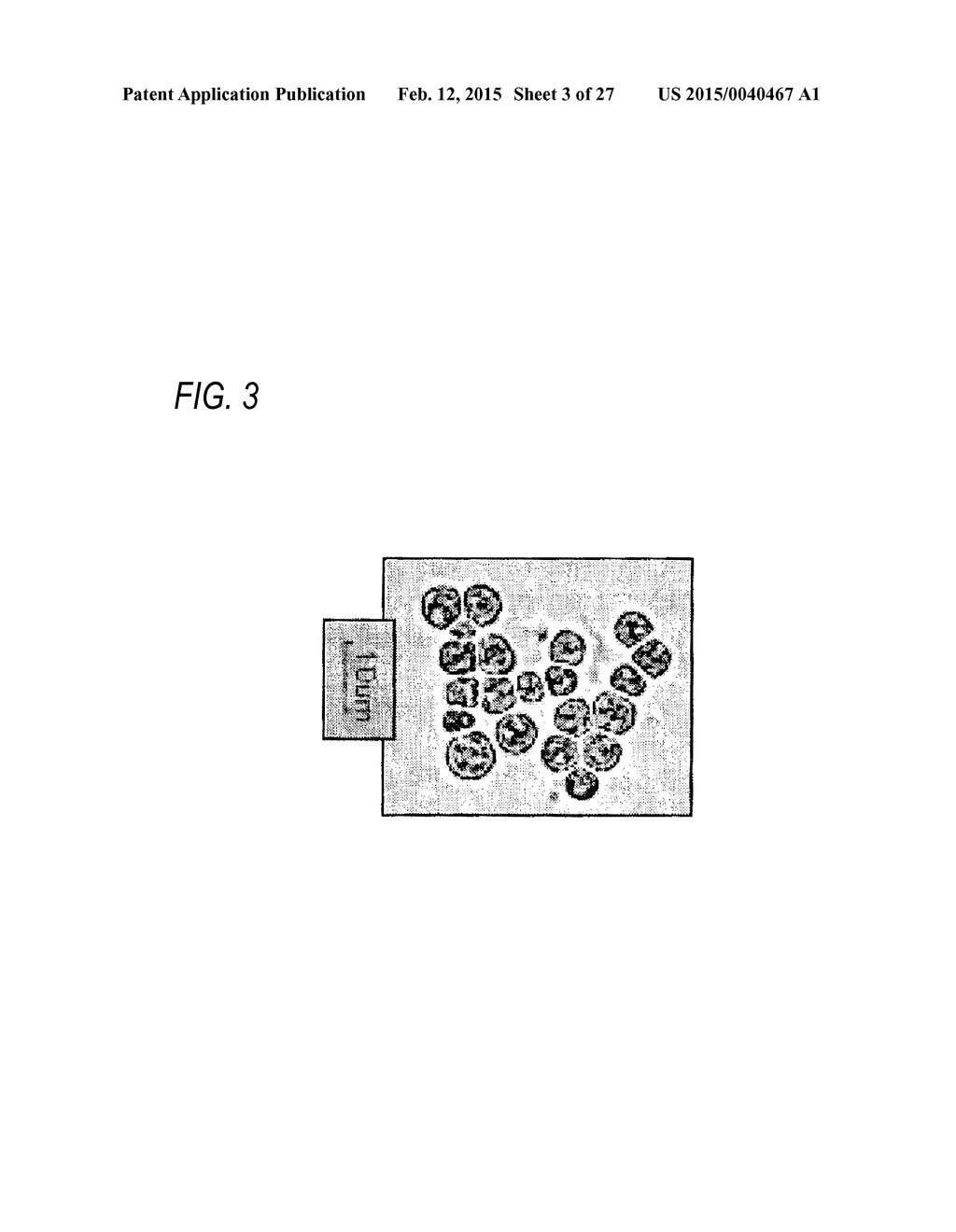 METHOD FOR CULTURING MICROALGAE, BIOFILM FORMED ON LIQUID SURFACE BY THE     CULTURING METHOD, BIOMASS AND OIL OBTAINED FROM THE BIOFILM, METHOD FOR     COLLECTING THE BIOFILM, METHOD FOR PRODUCING BIOMASS FUEL, MICROALGAE     CAPABLE OF FORMING BIOFILM ON LIQUID SURFACE, BIOFILM FORMED ON LIQUID     SURFACE USING THE MICROALGAE, AND BIOMASS AND OIL OBTAINED FROM THE     BIOFILM - diagram, schematic, and image 04