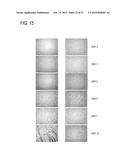 METHOD FOR CULTURING MICROALGAE, BIOFILM FORMED ON LIQUID SURFACE BY THE     CULTURING METHOD, BIOMASS AND OIL OBTAINED FROM THE BIOFILM, METHOD FOR     COLLECTING THE BIOFILM, METHOD FOR PRODUCING BIOMASS FUEL, MICROALGAE     CAPABLE OF FORMING BIOFILM ON LIQUID SURFACE, BIOFILM FORMED ON LIQUID     SURFACE USING THE MICROALGAE, AND BIOMASS AND OIL OBTAINED FROM THE     BIOFILM diagram and image