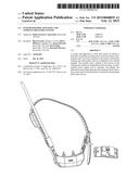 INTEGRATED DOG TRACKING AND STIMULUS DELIVERY SYSTEM diagram and image