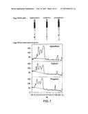 POLYACRYLAMIDE GEL FOR USE WITH TRADITIONAL AND NON-TRADITIONAL     ELECTROPHORESIS RUNNING BUFFERS diagram and image