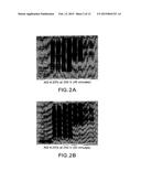 POLYACRYLAMIDE GEL FOR USE WITH TRADITIONAL AND NON-TRADITIONAL     ELECTROPHORESIS RUNNING BUFFERS diagram and image