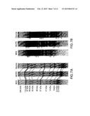 POLYACRYLAMIDE GEL FOR USE WITH TRADITIONAL AND NON-TRADITIONAL     ELECTROPHORESIS RUNNING BUFFERS diagram and image
