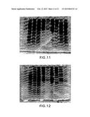 POLYACRYLAMIDE GEL FOR USE WITH TRADITIONAL AND NON-TRADITIONAL     ELECTROPHORESIS RUNNING BUFFERS diagram and image