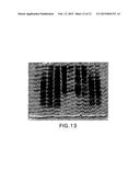 POLYACRYLAMIDE GEL FOR USE WITH TRADITIONAL AND NON-TRADITIONAL     ELECTROPHORESIS RUNNING BUFFERS diagram and image