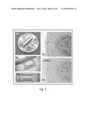 READOUT & SIGNAL TRANSDUCTION (ROST) COMPONENT FOR POC DEVICES diagram and image