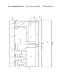 PASSIVATION OF BACK-ILLUMINATED IMAGE SENSOR diagram and image