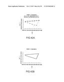 SURFACE ACOUSTIC WAVE RESONATOR, SURFACE ACOUSTIC WAVE OSCILLATOR, AND     ELECTRONIC INSTRUMENT diagram and image