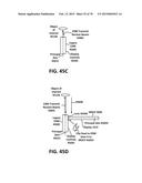 EXTERNAL ELECTRONIC DISTANCE MEASUREMENT ACCESSORY FOR A MOBILE DATA     COLLECTION PLATFORM diagram and image