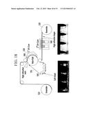 OPTICAL FILM, DISPLAY DEVICE INCLUDING THE SAME AND METHOD OF     MANUFACTURING OPTICAL FILM diagram and image