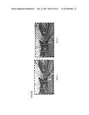 IMAGE PROCESSING METHOD, IMAGE PROCESSING APPARATUS AND IMAGE PROCESSING     PROGRAM diagram and image