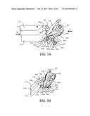 SHUTTER APPARATUS AND IMAGE PICKUP APPARATUS diagram and image