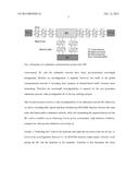 SUBMARINE RECONFIGURABLE OPTICAL ADD/DROP MULTIPLEXER WITH PASSIVE     BRANCHING UNIT diagram and image