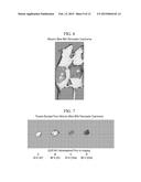 FLUORESCENT PHOSPHOLIPID ETHER COMPOUNDS, COMPOSITIONS, AND METHODS OF USE diagram and image