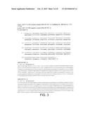 METHODS OF TREATING A FLAVIVIRIDAE FAMILY VIRAL INFECTION, COMPOSITIONS     FOR TREATING A FLAVIVIRIDAE FAMILY VIRAL INFECTION, AND SCREENING ASSAYS     FOR IDENTIFYING COMPOSITIONS FOR TREATING A FLAVIVIRIDAE FAMILY VIRAL     INFECTION diagram and image