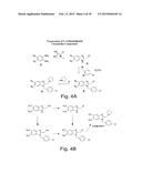 METHODS OF TREATING A FLAVIVIRIDAE FAMILY VIRAL INFECTION, COMPOSITIONS     FOR TREATING A FLAVIVIRIDAE FAMILY VIRAL INFECTION, AND SCREENING ASSAYS     FOR IDENTIFYING COMPOSITIONS FOR TREATING A FLAVIVIRIDAE FAMILY VIRAL     INFECTION diagram and image