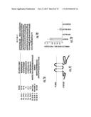 METHODS OF TREATING A FLAVIVIRIDAE FAMILY VIRAL INFECTION, COMPOSITIONS     FOR TREATING A FLAVIVIRIDAE FAMILY VIRAL INFECTION, AND SCREENING ASSAYS     FOR IDENTIFYING COMPOSITIONS FOR TREATING A FLAVIVIRIDAE FAMILY VIRAL     INFECTION diagram and image