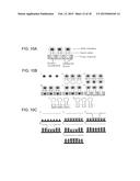 METHODS OF TREATING A FLAVIVIRIDAE FAMILY VIRAL INFECTION, COMPOSITIONS     FOR TREATING A FLAVIVIRIDAE FAMILY VIRAL INFECTION, AND SCREENING ASSAYS     FOR IDENTIFYING COMPOSITIONS FOR TREATING A FLAVIVIRIDAE FAMILY VIRAL     INFECTION diagram and image