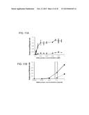 METHODS OF TREATING A FLAVIVIRIDAE FAMILY VIRAL INFECTION, COMPOSITIONS     FOR TREATING A FLAVIVIRIDAE FAMILY VIRAL INFECTION, AND SCREENING ASSAYS     FOR IDENTIFYING COMPOSITIONS FOR TREATING A FLAVIVIRIDAE FAMILY VIRAL     INFECTION diagram and image