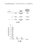 METHODS OF TREATING A FLAVIVIRIDAE FAMILY VIRAL INFECTION, COMPOSITIONS     FOR TREATING A FLAVIVIRIDAE FAMILY VIRAL INFECTION, AND SCREENING ASSAYS     FOR IDENTIFYING COMPOSITIONS FOR TREATING A FLAVIVIRIDAE FAMILY VIRAL     INFECTION diagram and image