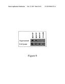 EXPRESSION OF VIRUS ENTRY INHIBITORS AND RECOMBINANT AAV THEREFOR diagram and image