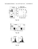 DEVICES AND METHODS FOR SELECTING APOPTOSIS-SIGNALING RESISTANT CELLS, AND     USES THEREOF diagram and image