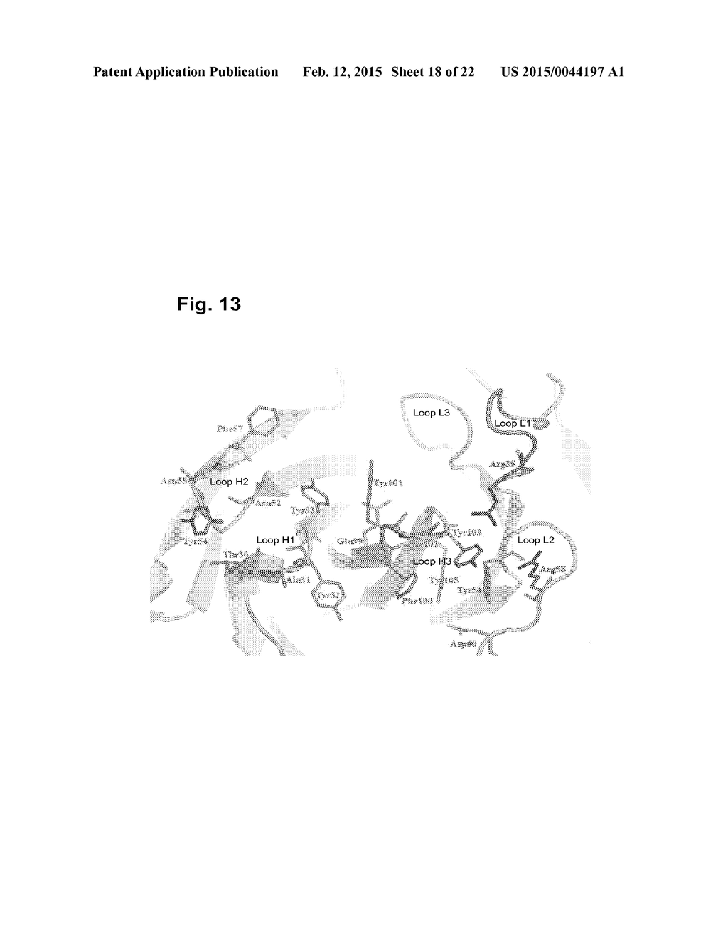 ANTIBODIES THAT SPECIFICALLY BIND TO THE EPHA2 RECEPTOR - diagram, schematic, and image 19