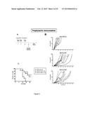 N-DOMAIN OF CARCINOEMBRYONIC ANTIGEN AND COMPOSITIONS, METHODS AND USES     THEREOF diagram and image