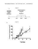 N-DOMAIN OF CARCINOEMBRYONIC ANTIGEN AND COMPOSITIONS, METHODS AND USES     THEREOF diagram and image