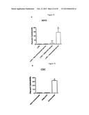 N-DOMAIN OF CARCINOEMBRYONIC ANTIGEN AND COMPOSITIONS, METHODS AND USES     THEREOF diagram and image