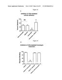 N-DOMAIN OF CARCINOEMBRYONIC ANTIGEN AND COMPOSITIONS, METHODS AND USES     THEREOF diagram and image